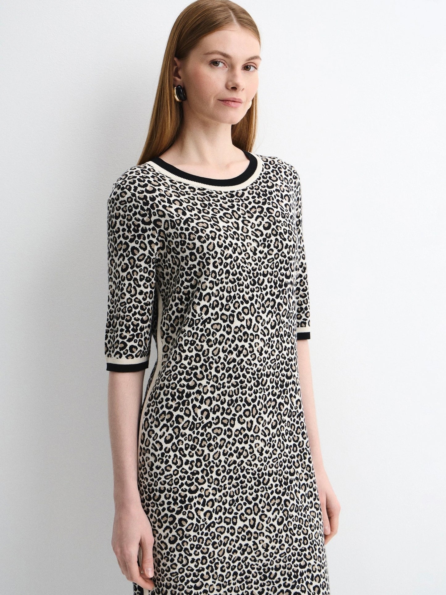 Leopard Print Dress