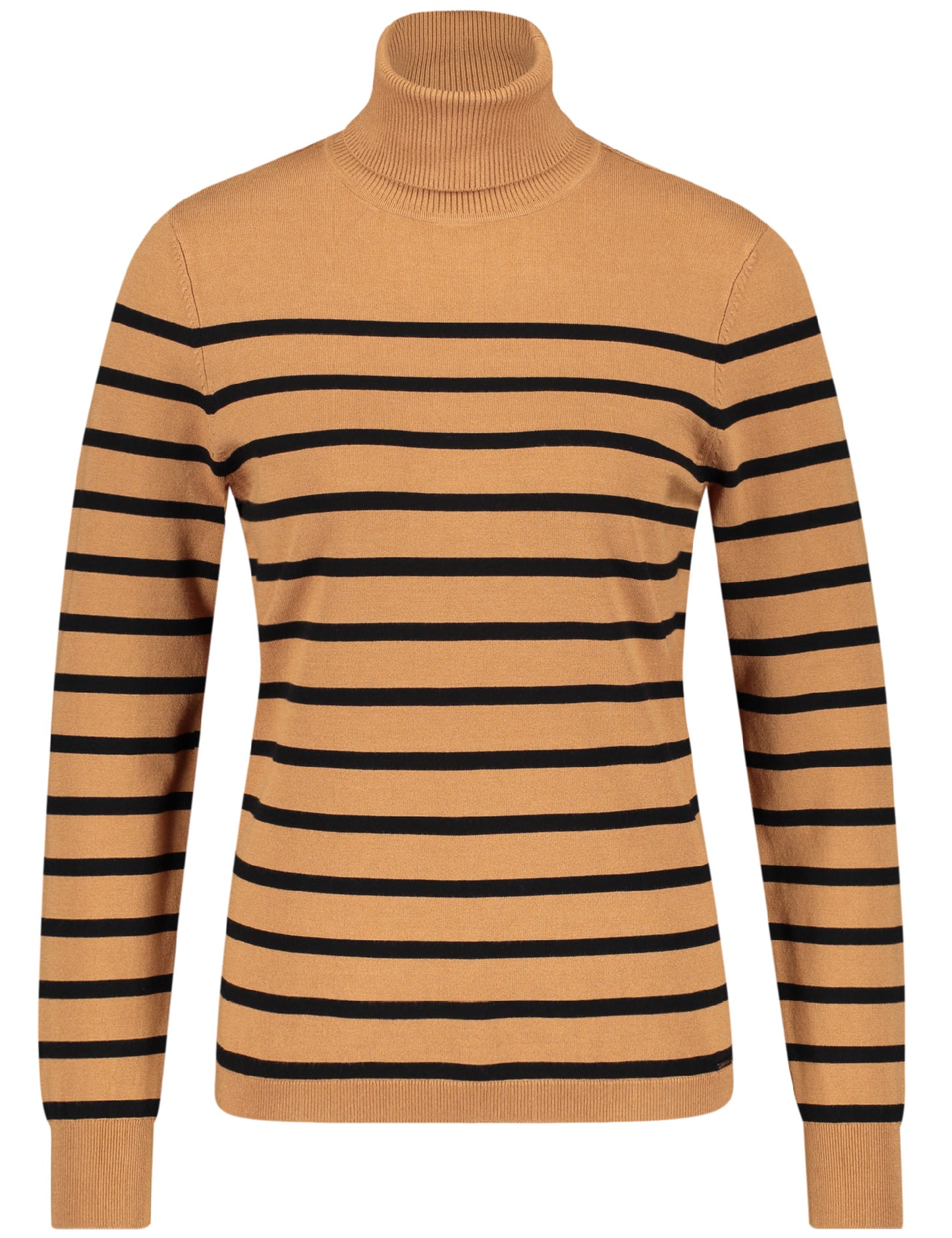Turtleneck with Stripes