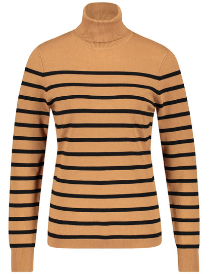 Turtleneck with Stripes